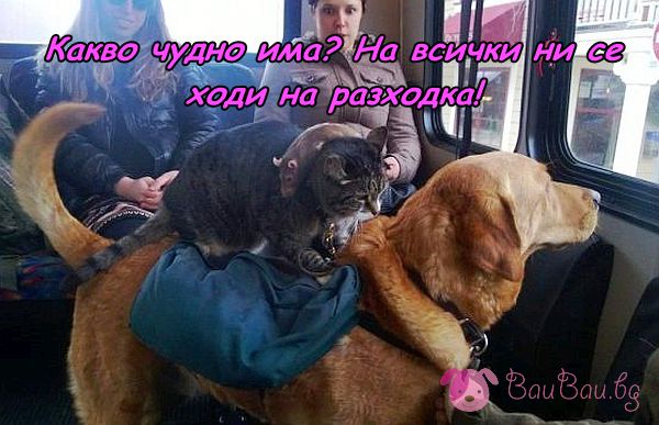 na-razhodka-s-gradskiq-transport.jpg