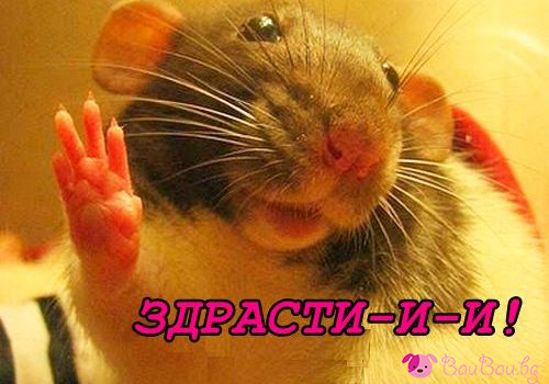 Резултат с изображение за дай пет