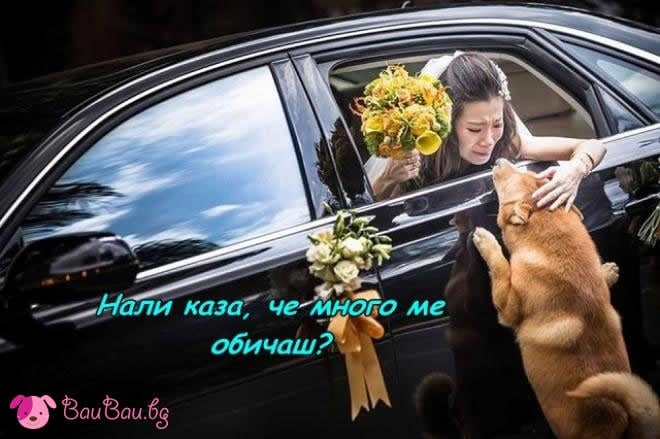 tejka-razdqla.jpg
