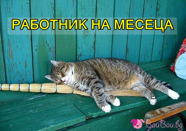 rabotnik-na-meseca.jpg