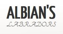 Развъдник за Лабрадор "Albian's"