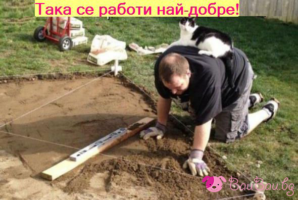 taka-se-raboti_.jpg