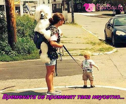 vremenata-se-promenqt.jpg