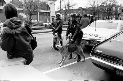 Полицейско куче в миналото