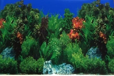Aqua Nova Плакат едностранен; високи растения Н-30см; Н-50см; Н - 60см
