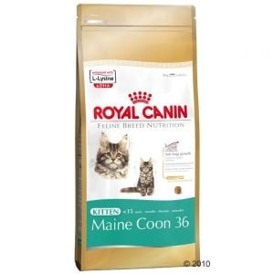 Royal Canin Kitten Maine Coon – за подрастващи котки Мейн Куун до 1 год. - 0.400кг