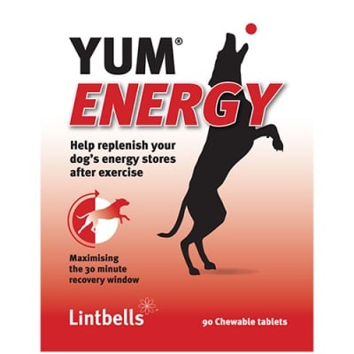YUM ENERGY 90 БР. – овкусени таблетки осигуряващи енергия преди или след натоварване за кучета