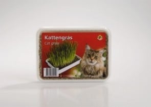 Котешка трева - готова смес + съд