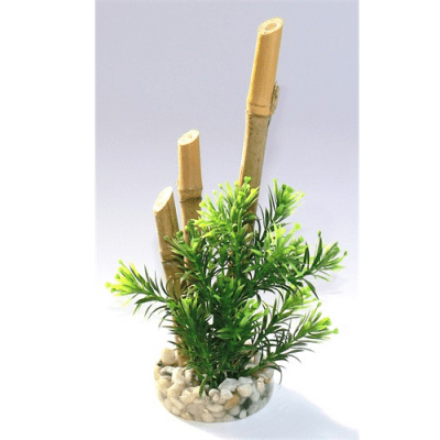 Растение Bamboo Forest Plants 20см от Sydeco, Франция