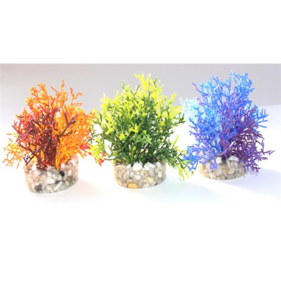 Растение Coral Reef 8см от Sydeco, Франция