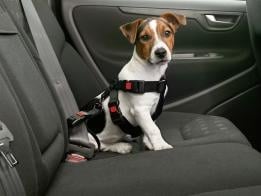 "Karlie" - Предпазен нагръдник за куче в автомобил