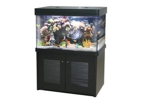 "Classica Curved Tank" - Голям аквариум за рибки