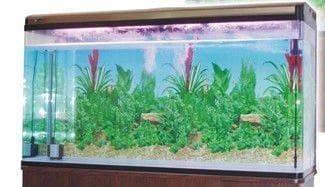 RS 150 H - аквариум с капак, осветление и дънен филтър