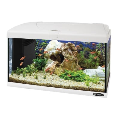 Стъклен аквариум Ferplast CAPRI 60, 60 x 31,5 x вис: 39,5 cm , 60 литра, оборудван, два цвята