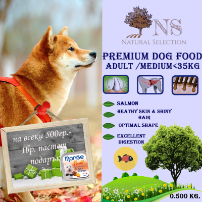 Суха храна за куче, Natural Selection Premium, със сьомга, 100гр насипно