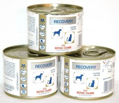 Royal Canin Recovery Cats/Dogs 0.195кг - възстановяване при кучета и котки, хранене със сонда