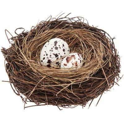 Птиче гнездо с две яйца, натурално, ф 16 cm