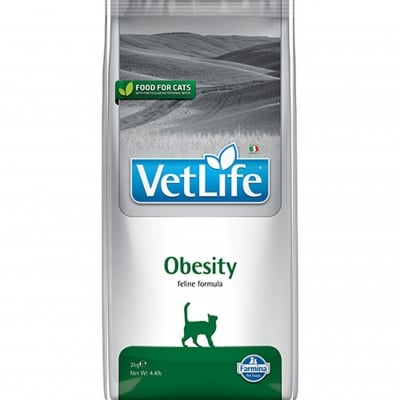 VLN DIET CAT OBESITY  400G