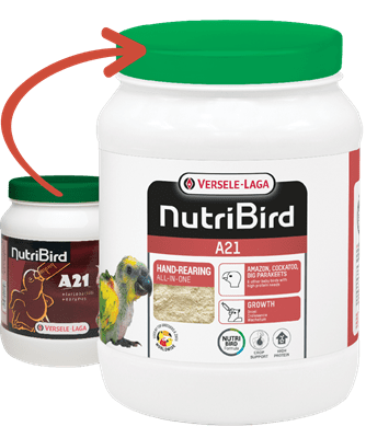 NUTRI BIRD A21 -FOR BABY BIRDS 0.8KG- ХРАНА ЗА РЪЧНО ХРАНЕНЕ НА НОВОИЗЛЮПЕНИ  ГОЛЕМИ ПАПАГАЛИ