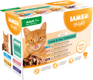 IAMS CAT POUCH LAND AND SEA JELLY 12X85