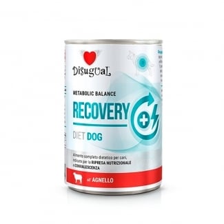 DSG консерва куче RECOVERY агне 400 гр