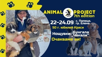 Подай лапа на Краси - 7th edition Animal project + 50 г. юбилей
