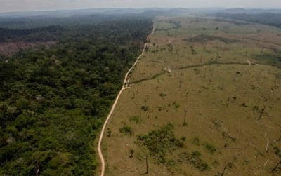 Дилма Русеф наложи частично вето на спорния закон за Амазонската джунгла