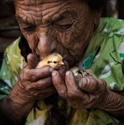 Баба с пиленце