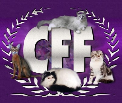 Федерация на любителите на котки