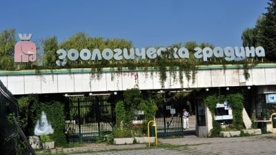 Затваряне на Софийския Зоопарк поискаха от Българския вегански съюз