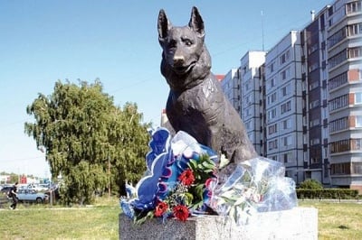 История за верността на едно куче, в името на което издигат паметник
