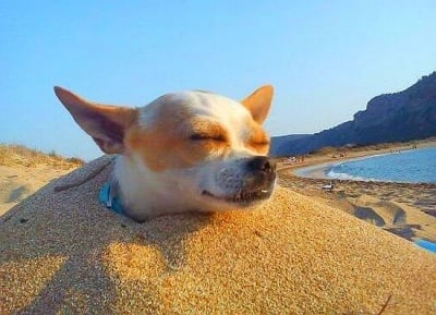 "Сладко се спи на плажа"