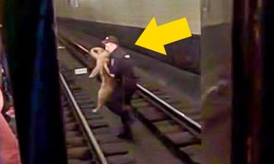 Руски полицай спаси куче от релсите на метрото, секунди преди да дойде влакчето
