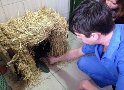 Украинец спаси бобър от одиране, откупва го от бракониери