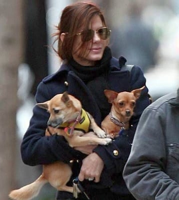Сандра Бълок с две кученца