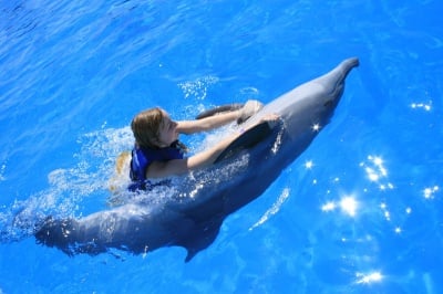 Защо делфините помагат на хората