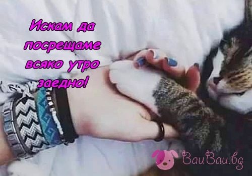 dobro-utro-milicjka.jpg
