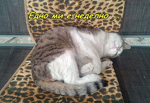 ei-na-tova-se-kazva-nedelno-utro.jpg