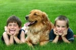 12 причини, поради които всяко дете трябва да порасне с куче (2 част)