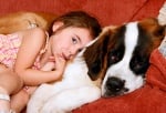 12 причини, поради които всяко дете трябва да порасне с куче (1 част)