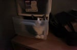 Котка в чекмедже