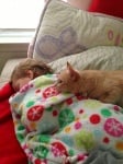 Котка спи с бебе