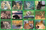 Дивите животински видове в България и по света