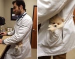 Ветеринар с малко кученце