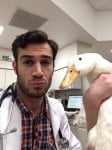 Д-р Евън с гъска