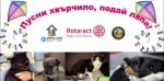 Заповядайте на 2 юли в Пловдив за инициативата в помощ на бездомните животни "Пусни хвърчило, подай лапа"