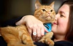 20 научни доказателства, че всеки има нужда от котка в живота си (първа част)
