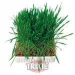 TRIXIE - Трева за гризачи, 100 гр.