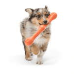  Играчка пръчка Zwig - за безопасна игра на вашето куче, Zogoflex