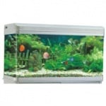 RS 100M - аквариум с капак, осветление и дънен филтър